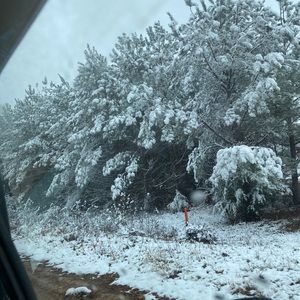 Meet your Posher, Faye